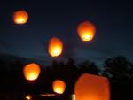 DSCF2636