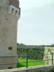 DSCF4282