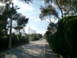 CIMG0048